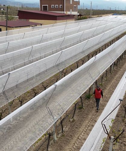 Kadın Girişimciden Tarımda Akılcı Çözüm