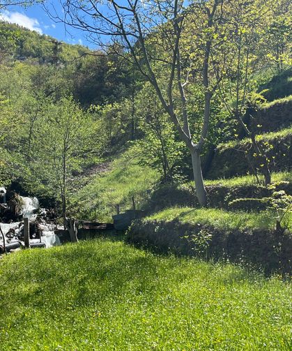 Artvin’de Bir Ustalık Destanı: İki Dönümü Sekiz Yapan Üç Kuşaklık Taş Mirası