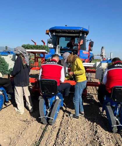 Manisa’da Domates Dikimi Başladı: Hedef 131 Bin Dekar