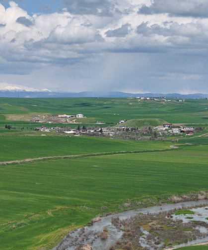 250 DÖNÜM TARLA SABOTAJ İDDİASIYLA GÜNDEMDE