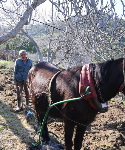 Gençler köyü terk edince iş yaşlılara kaldı