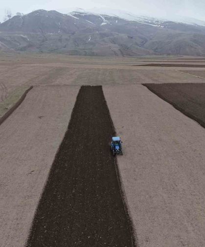 Iğdır’da Üretim Atağı! Hububatta Rekor Artış Bekleniyor