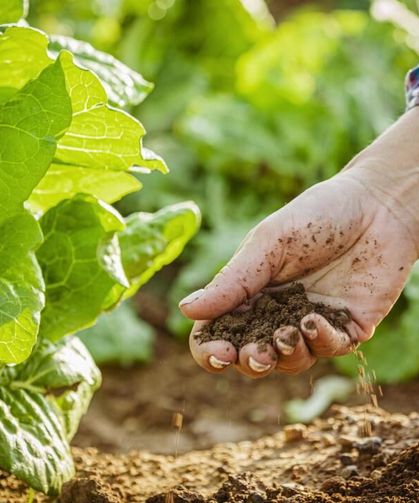 Tarımda Ezber Bozan Model Sahaya İndi