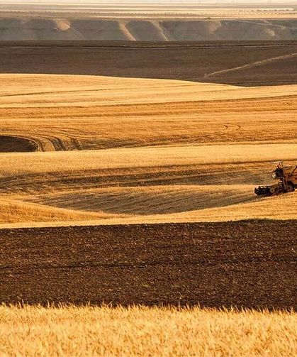 TARIMDA HASAT SONRASI KAYIPLAR