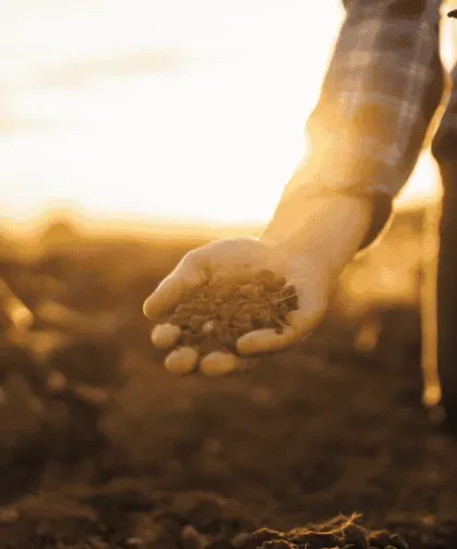 TARIMDA VERİMLİLİK İLE DOĞAYI BARIŞTIRMANIN YOLU