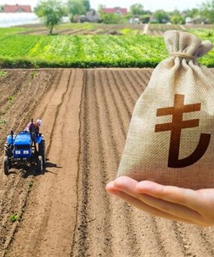 TARIMDA PLANSIZ ÜRETİMİN MALİYETİ