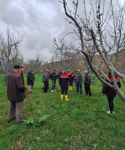 Ağaçta Verimi İkiye Katlıyor: Erzincan'da Dev Eğitim!