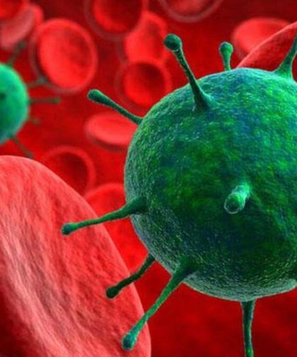 Gizemli Gemi Virüsü Alarmı: Hantavirüs Türkiye'yi Tehdit Ediyor mu?