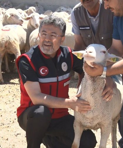 Kırsala 160 bin küçükbaş desteği: İlk teslimat yapıldı