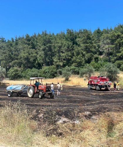 Çanakkale'de tarla yangını: Balya operatörü gözaltında