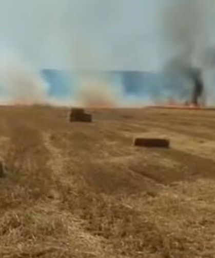 Nallıhan'da korkutan tarla yangını: Ekipler seferber oldu