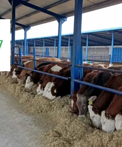 TÜSEDAD açıkladı: Temmuz ayı 1 litre sıcak çiğ süt üretim maliyeti 26,87 TL