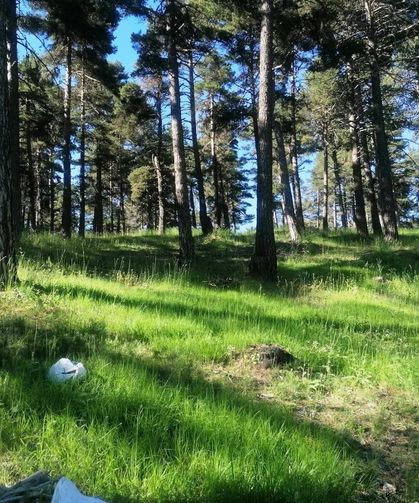Ekipler Sahaya İndi: 145 Noktada Dev Çalışma Tamamlandı