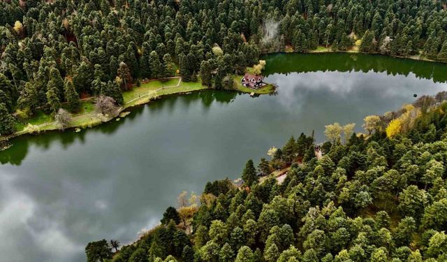 Bolu’daki tabiat ve milli parkları korumak için çeşitli yasaklar getirildi