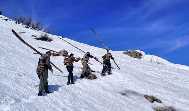 Çiftçiler 3 bin rakımdan kızak ve brandayla otları indiriyor