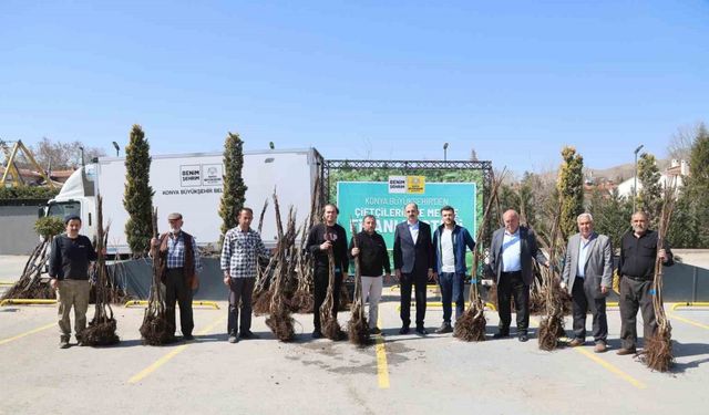 Konya Büyükşehir tarımsal kalkınma için bu sezon 72 bin meyve fidanı dağıtıyor