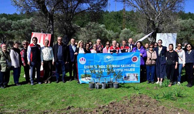 Yarımada kadınları sakız ağacına can katıyor