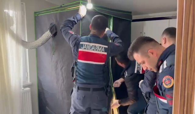 Elbise dolabından uyuşturucu serası çıktı: 4 kişi tutuklandı