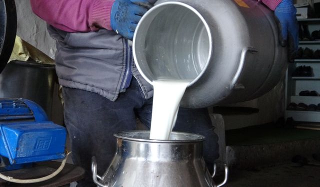 Süt sektörü mercek altında: 56 Şirkete rekabet soruşturması