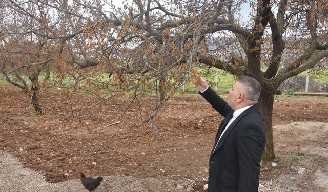 "Verilecek destekler sadece kayısıyı değil, şehrimizin geleceğini ilgilendiriyor"