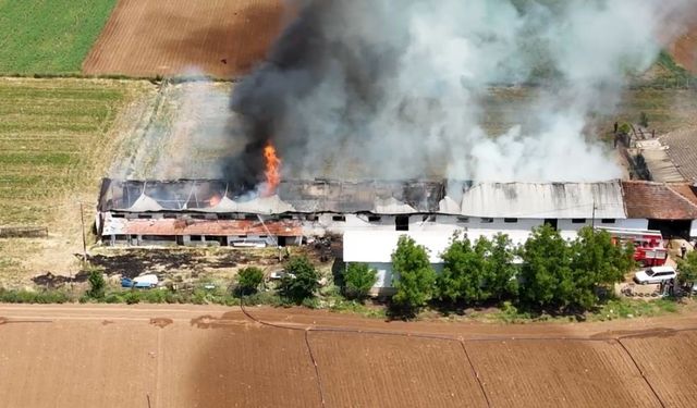 Bursa’da Hayvan Çiftliğinde Büyük Yangın