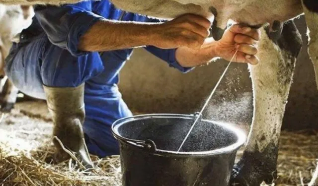 Ulusal Süt Konseyi Çiğ İnek Sütü Tavsiye Satış Fiyatını Belirledi