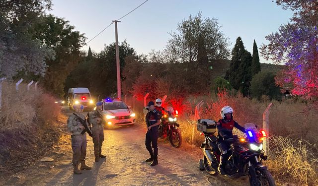Aydın’da Jandarma İncir Hırsızlarına Göz Açtırmıyor
