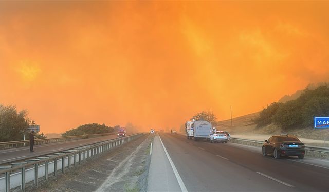 Bursa’da orman yangını büyüyor: Alevler hayvan çiftliklerine ilerliyor, yol kapatıldı