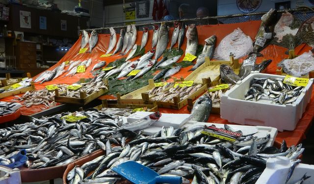 Balıkçılardan müjde: Fiyatlar düştü, ekimde bolluk bekleniyor