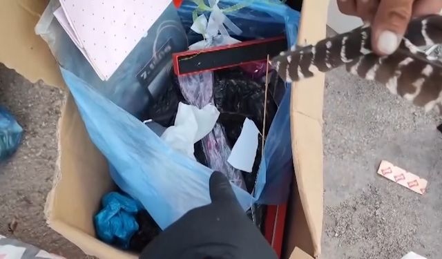 Çöpten Çıkanı Görünce Gözlerine İnanamadı! Değeri Tam 800 Bin TL...