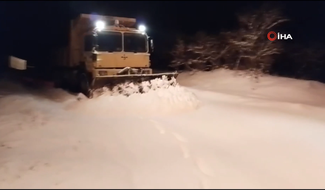 Yurdu Kar ve Soğuk Hava Teslim Aldı: Köy Yolları Kapandı