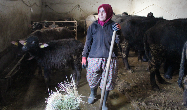 11 Mandayla Başladı, Çorum’u Mandacılıkta Marka Yapmaya Hazırlanıyor