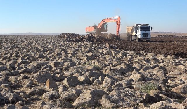 Şırnak’ta Taşlık Araziler Tarıma Kazandırılıyor: Ekonomiye 350 Milyon Liralık Katkı
