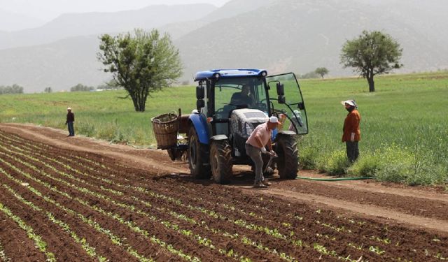 Çiftçi Desteklerinde Yeni Dönem: Bitkisel Üretim Desteklerinin Usul ve Esasları Değişti