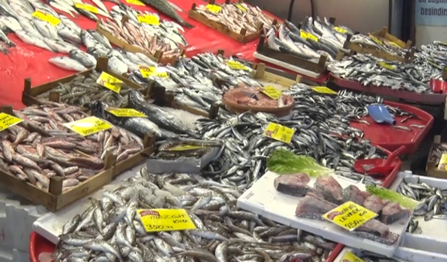 Kocaeli Balık Tezgâhlarında Sessiz Alarm