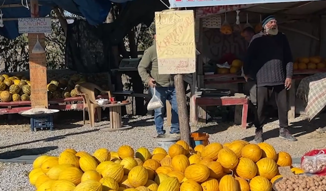 Tohumlar Kaybolurken O Ortaya Çıktı: Kavuncu Dede