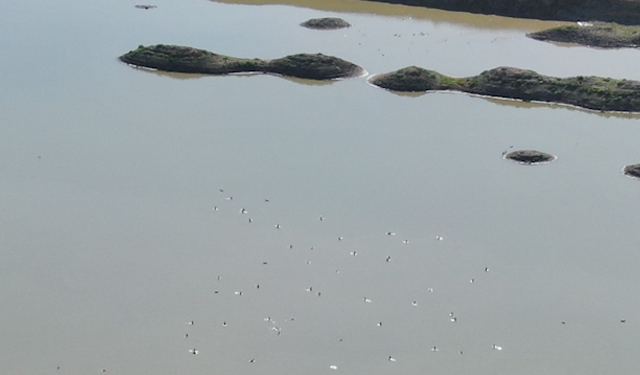 Yağışlar Barajları Toparladı, Yağmur Bombasına Bilimden Uyarı