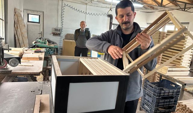 Takım Renkli Kovanlar Arıcılıkta Yeni Moda