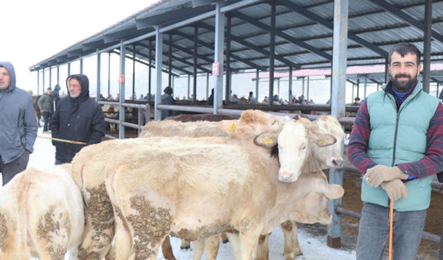 Eksi 15 Derecede Hayvan Pazarı Doldu Taştı