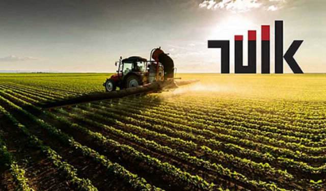 Tarımda Fiyatlar Yine Yükseldi: Yıllık Artış %36