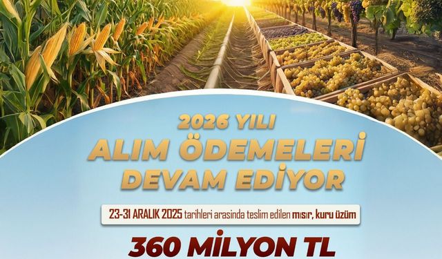 TMO’dan Üreticiye 360 Milyon TL: Alımlar ve Fiyatlar Açıklandı