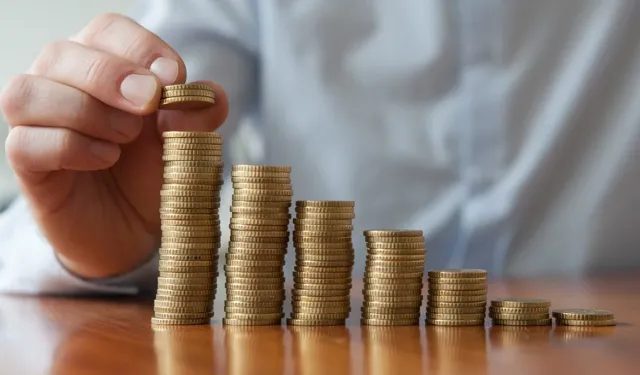 BES’te Devlet Katkısı Oranı Düşürüldü