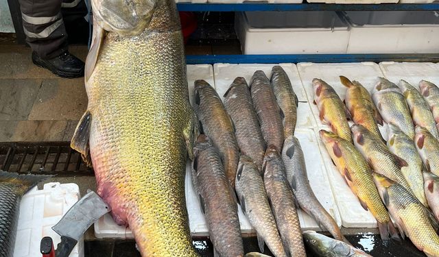 Batman Tezgahında Dev Turna: Gören Telefona Sarıldı