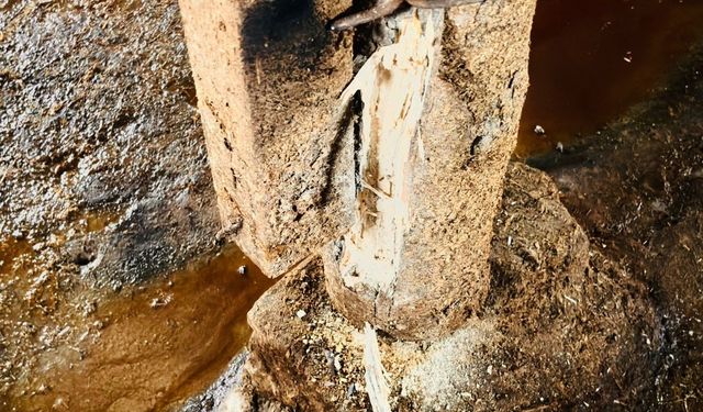 Yozgat’ta Bir Akşamda Felaket: Yıldırım Düştü, Hayvanlar Telef Oldu