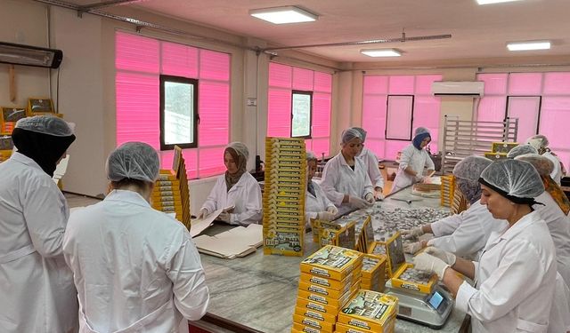 Bu İlçeden Dünyaya Tatlı İhracatı: Günde 10 Bin Üretim