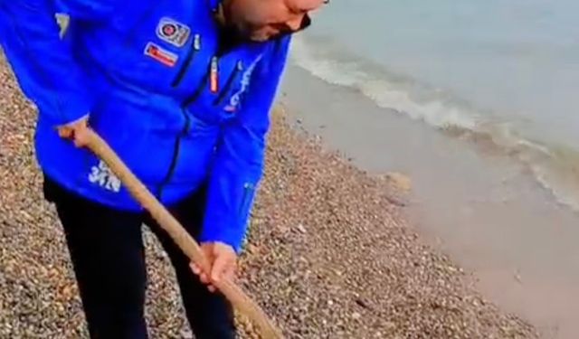 Assos’ta Oltaya Takılan Balık Görenleri Şaşırttı