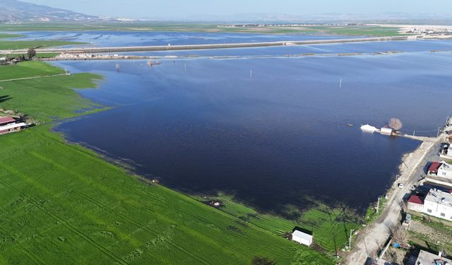Hatay’da Yağış Felaketi: Amik Ovası Sular Altında