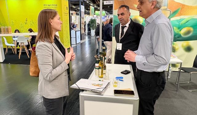 Kilis Zeytinyağı Dünyaya Açıldı: 3 Ülkede Raflarda