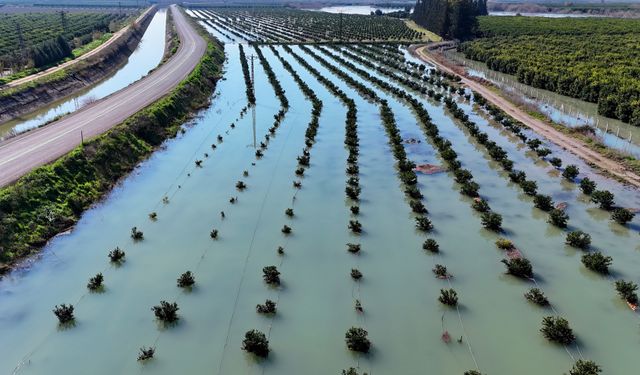 Çukurova Sular Altında: Baraj Kapakları Açıldı