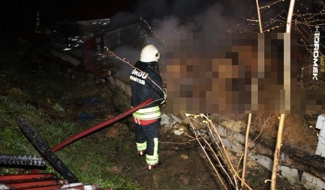 Ünye’de Ahır Yangını: 27 Büyükbaş Hayvan Telef Oldu